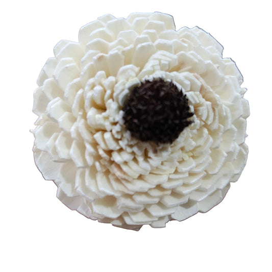 Big Dagzy Sola Flowers (5 pc)