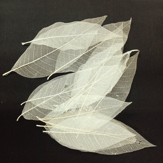 Leaves (30Pc)