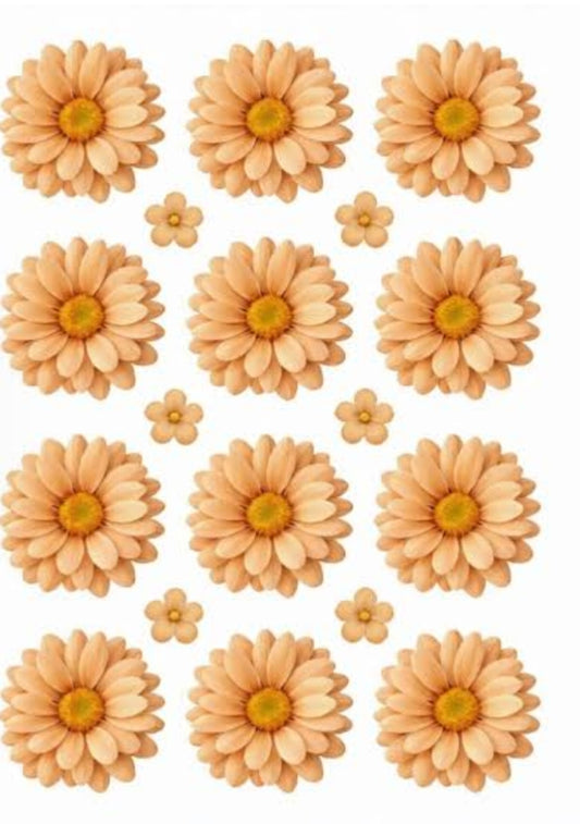 Daisy Flower UV DTF Sticker (2 pc)
