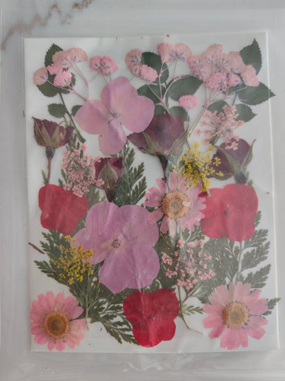 Pressed Flower Sheet (1 pc)