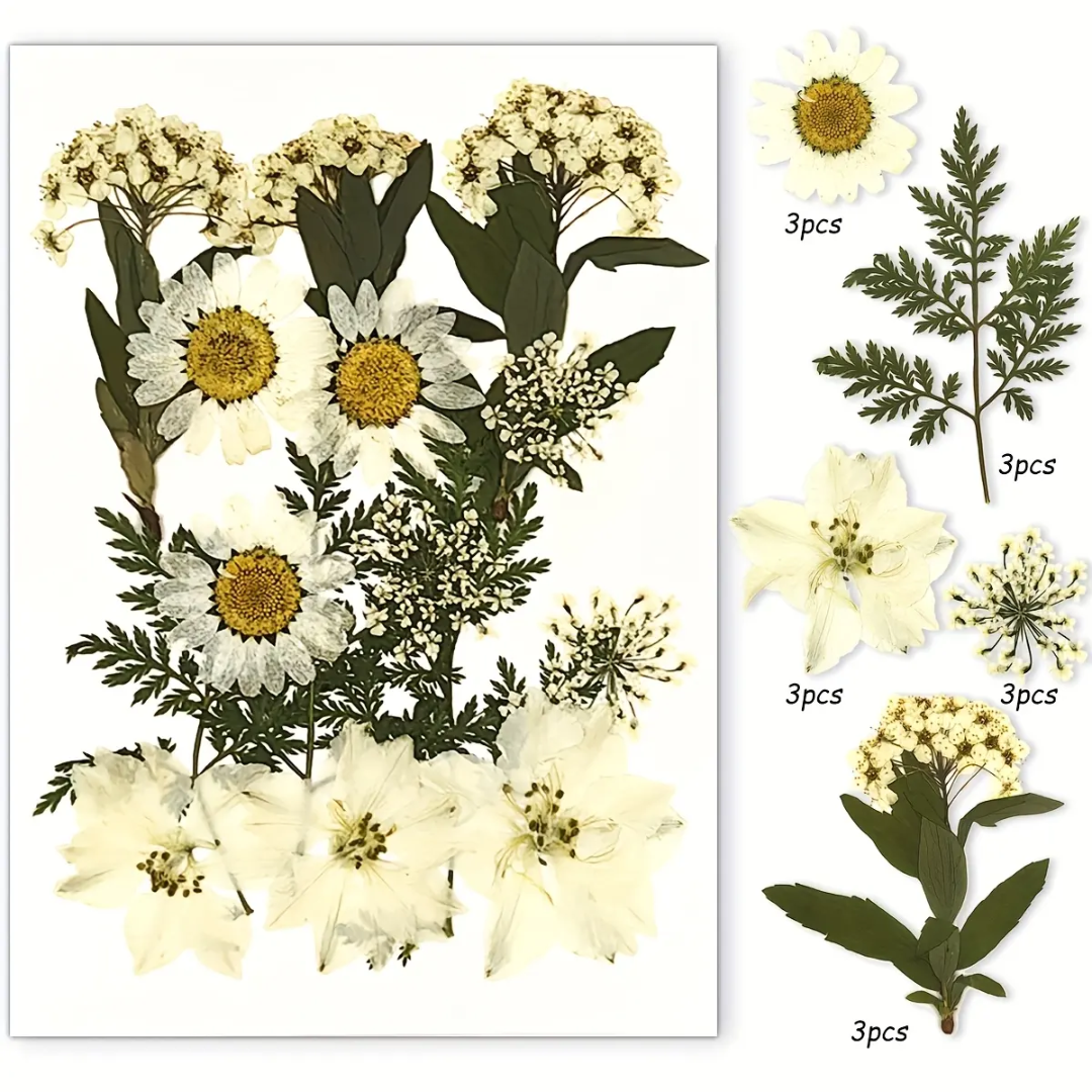 Pressed Flower Sheet