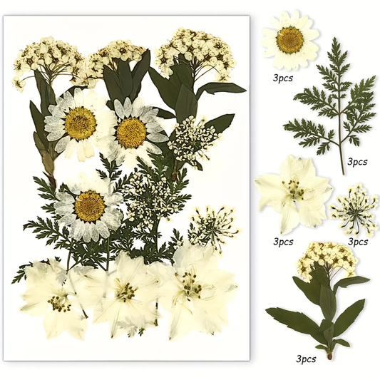 Pressed Flower Sheet