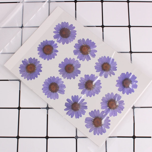 Single Color Pressed Flower