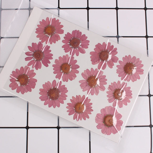 Single Color Pressed Flower