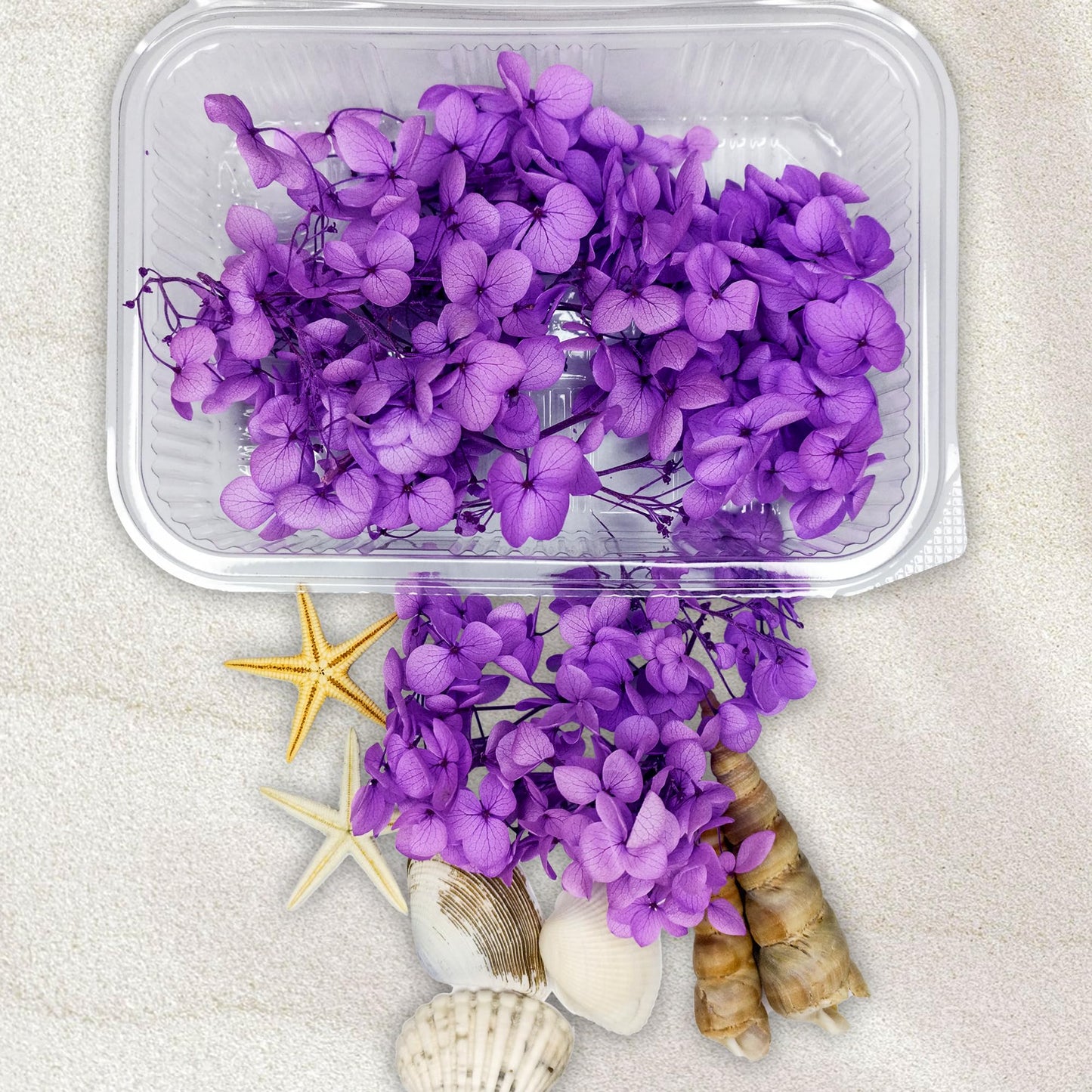 Dry Flower Box (1 pc)
