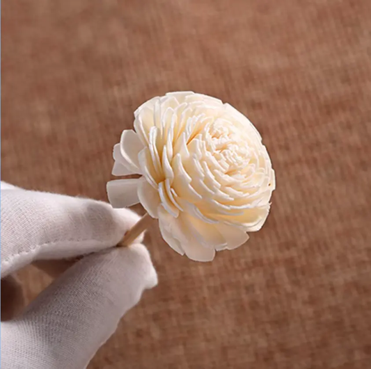 Small Bailev Sola Flowers (20 Pc)