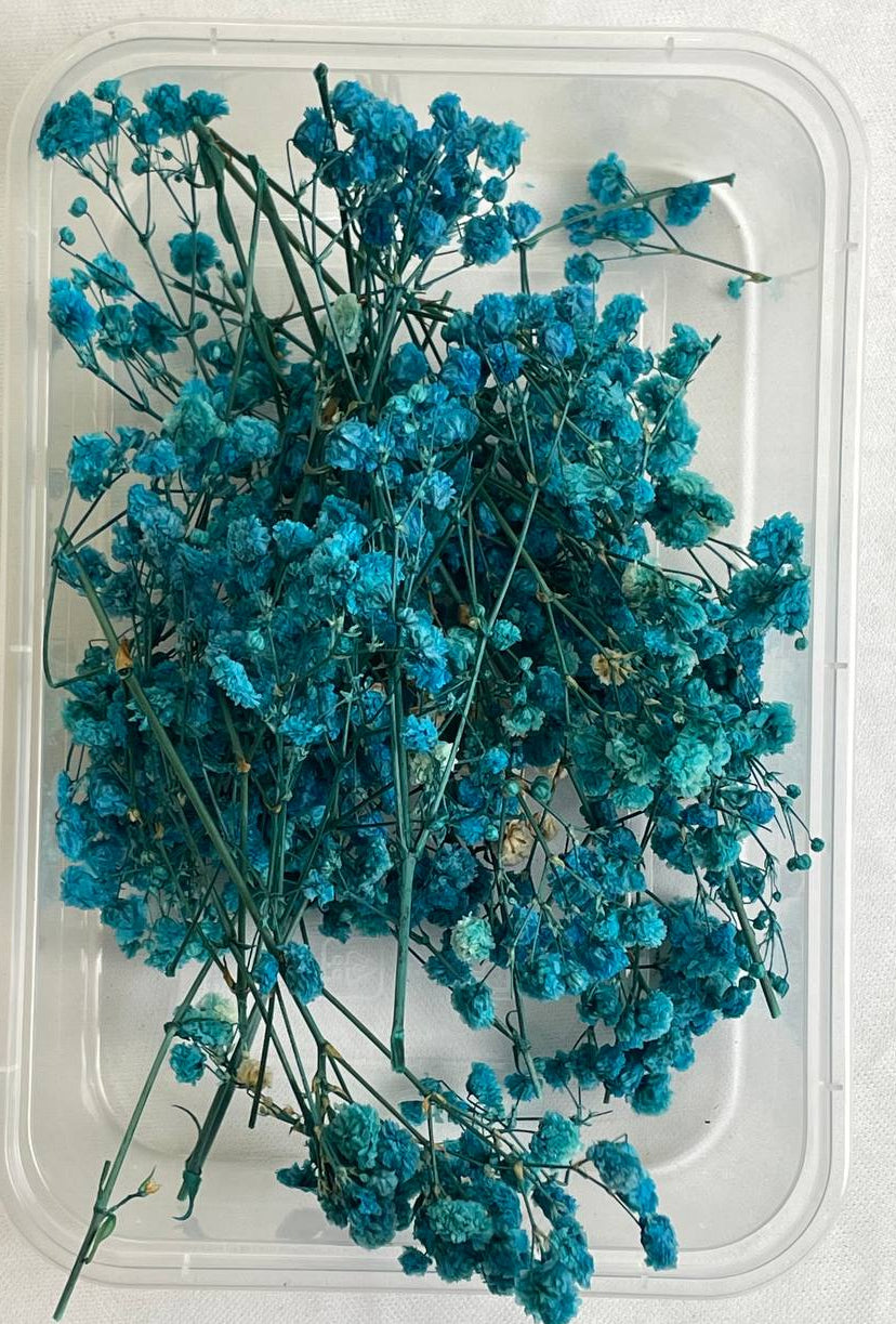 Dry Flower Box (1 pc)