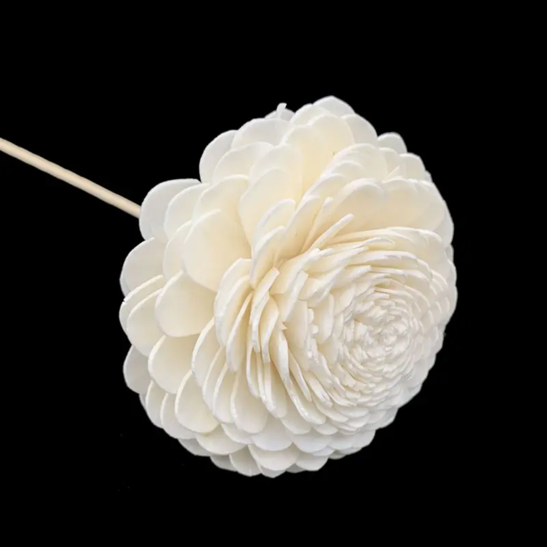 Small Bailev Sola Flowers (20 Pc)