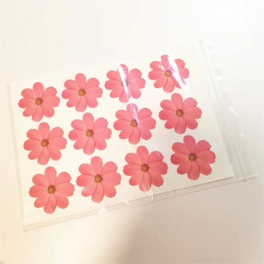 Pressed  Flower Sheet
