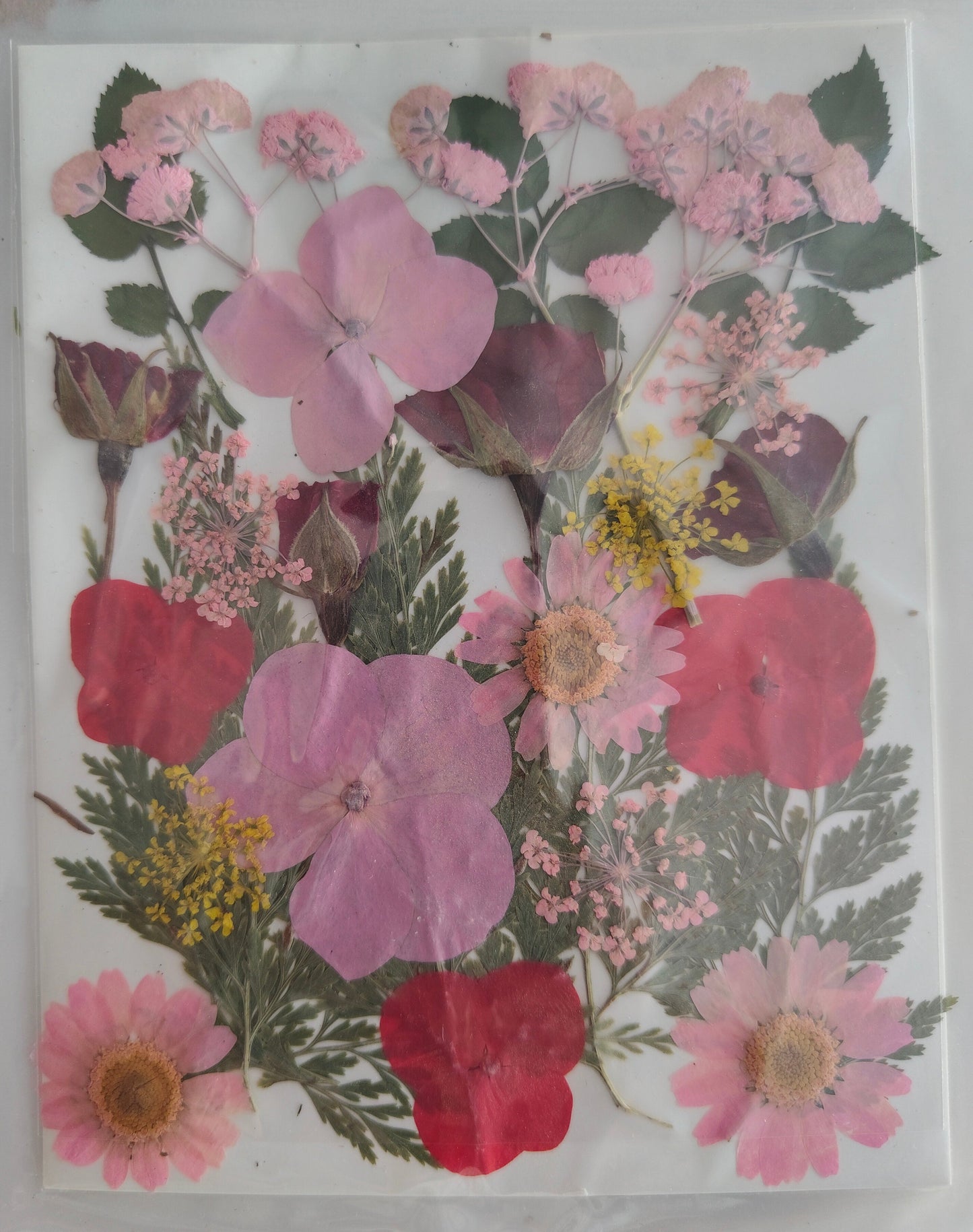Pressed Flower Sheet (1 pc)
