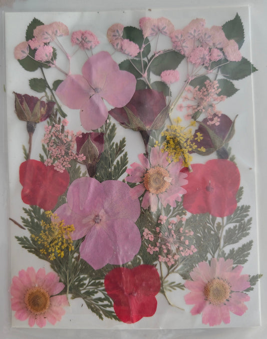 Pressed Flower Sheet (1 pc)