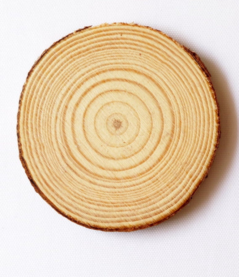 Natural Wooden (4 pc)