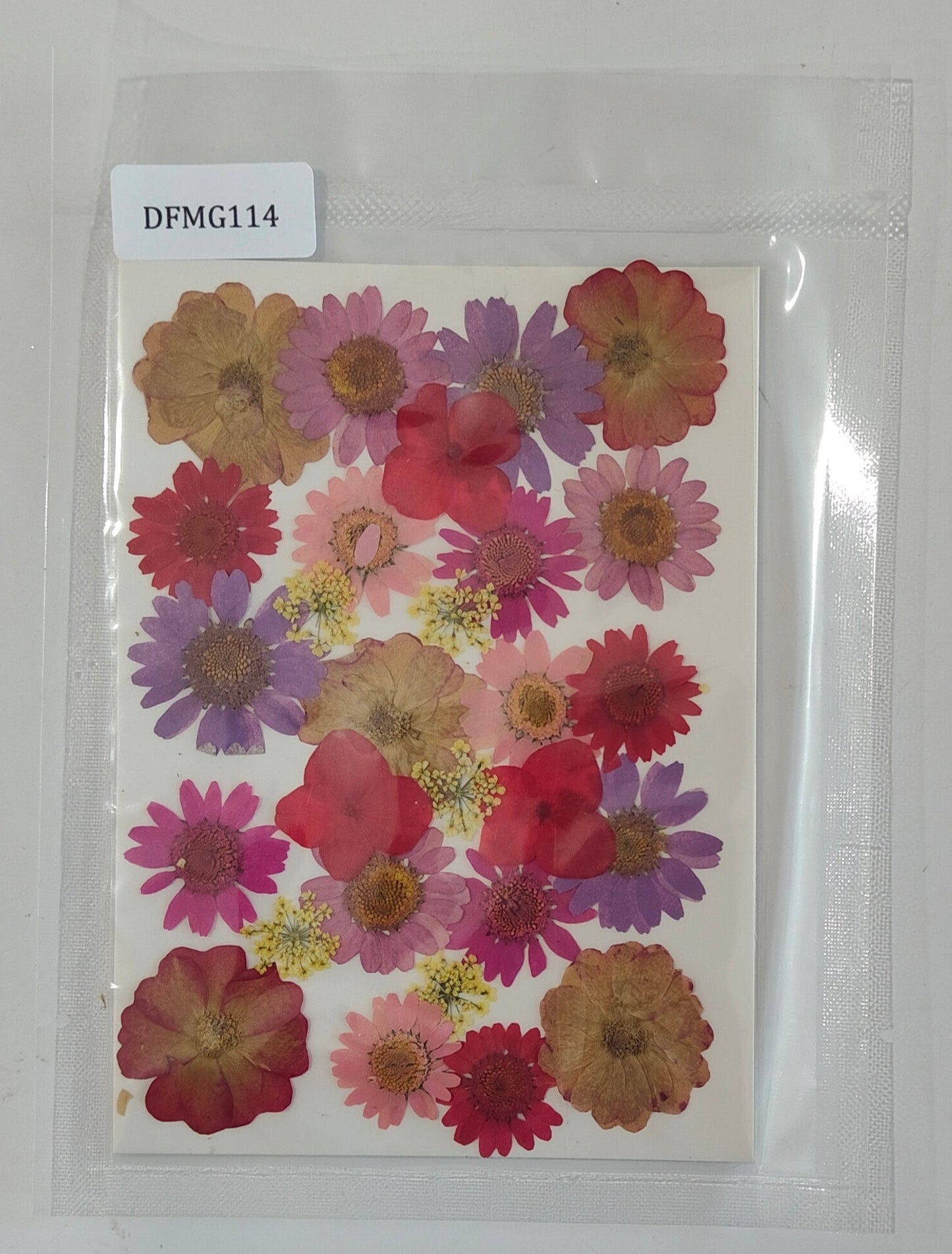 Pressed Flower Sheet