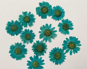 9 Flower Pressed Sheet (1 pc)