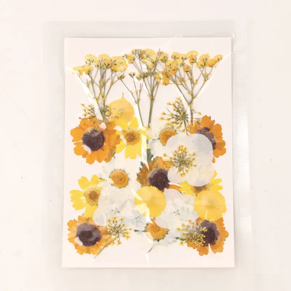 Pressed Flower Sheet