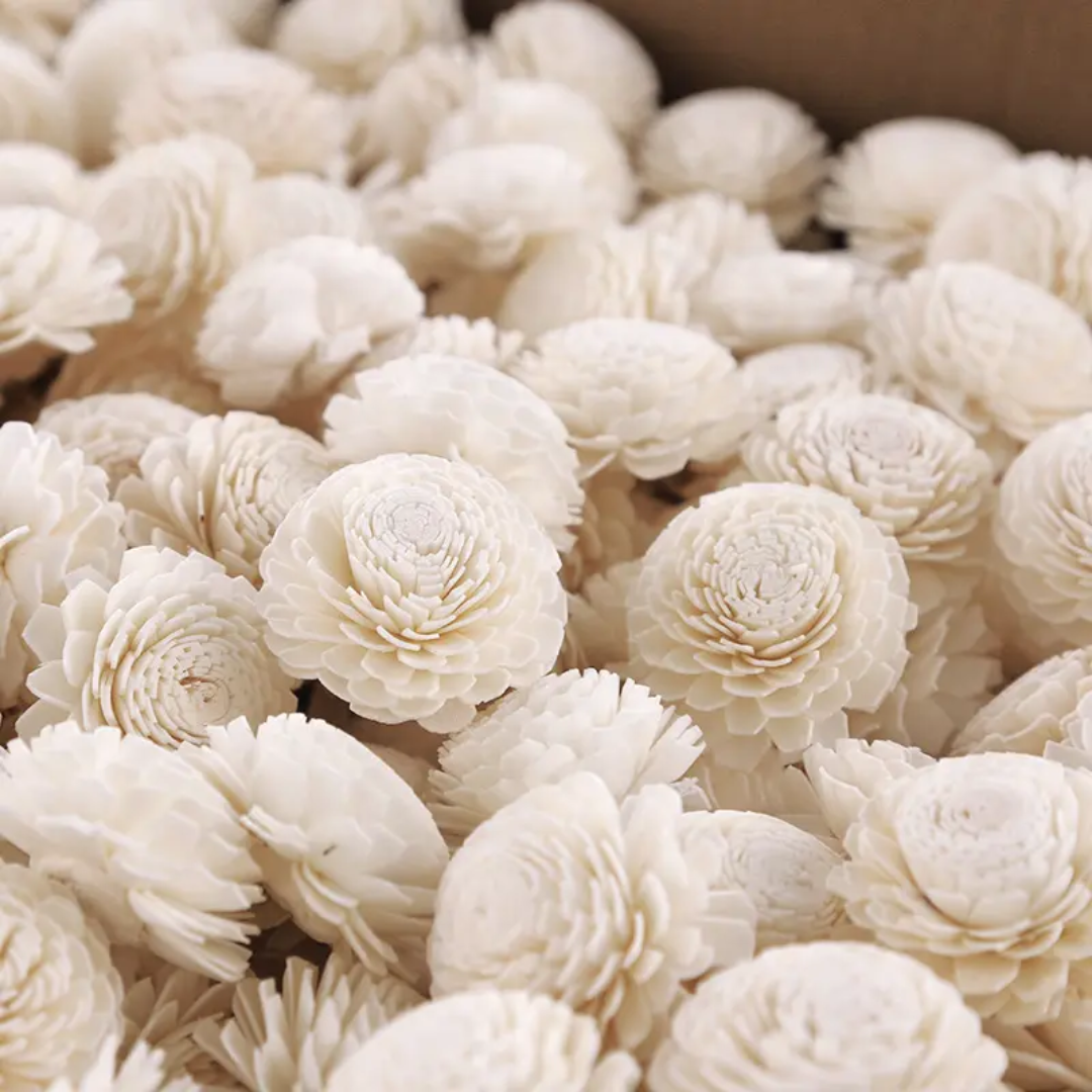 Big Bailev Sola Flowers (10 pc)