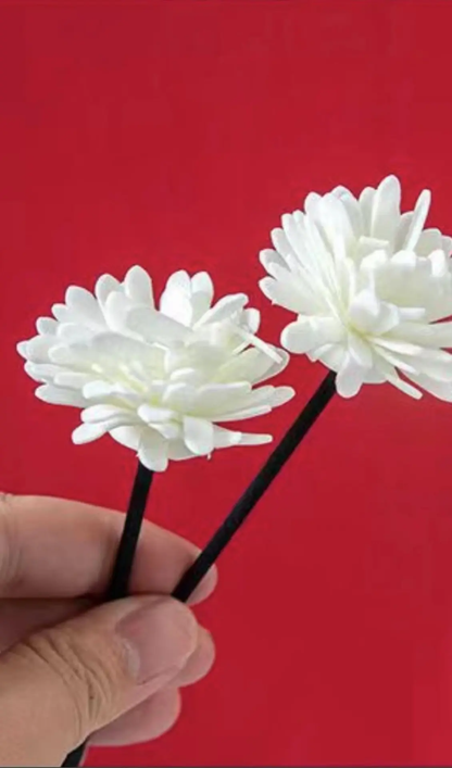 Reeds Diffuser Sticks (20 Pcs)