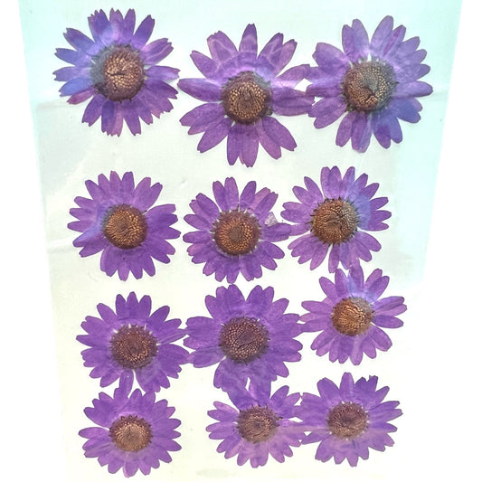 12 Flower Pressed Sheet (1 pc)