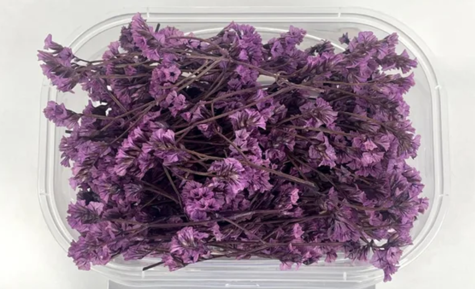 Dry Flower Box (1 pc)