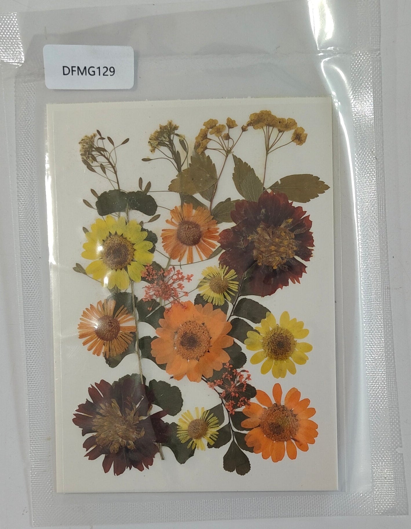 Pressed Flower Sheet