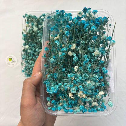 Dry Flower Box (1 pc)