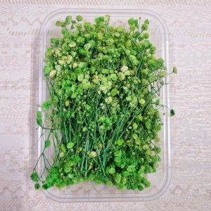 Dry Flower Box (1 pc)