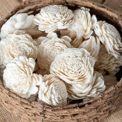 Big Bailev Sola Flowers (10 pc)