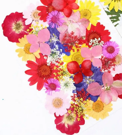 Pressed Flower Sheet