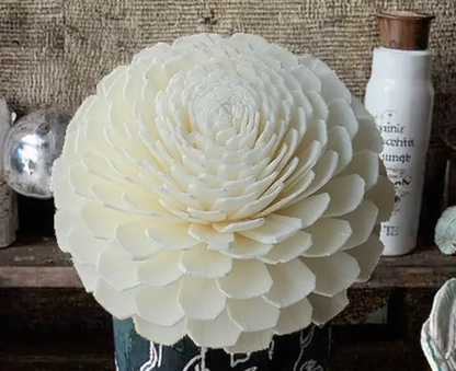 Big Bailev Sola Flowers (10 pc)