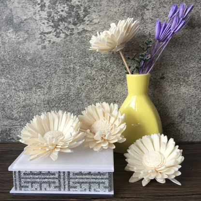 Big Sun Sola Flowers (5 pc)