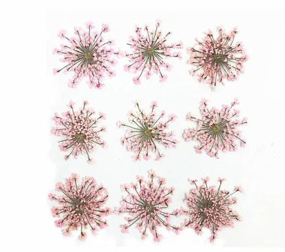 9 Flower Pressed Sheet (1 pc)