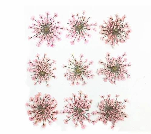 9 Flower Pressed Sheet (1 pc)