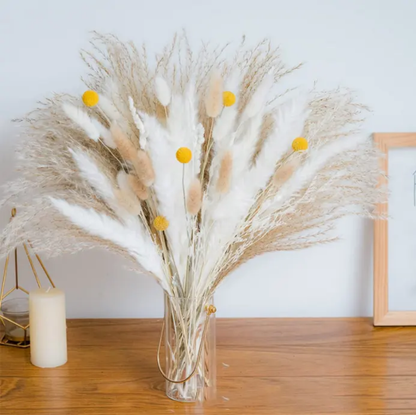 Mini Pampas White Bunch (10 Sticks)