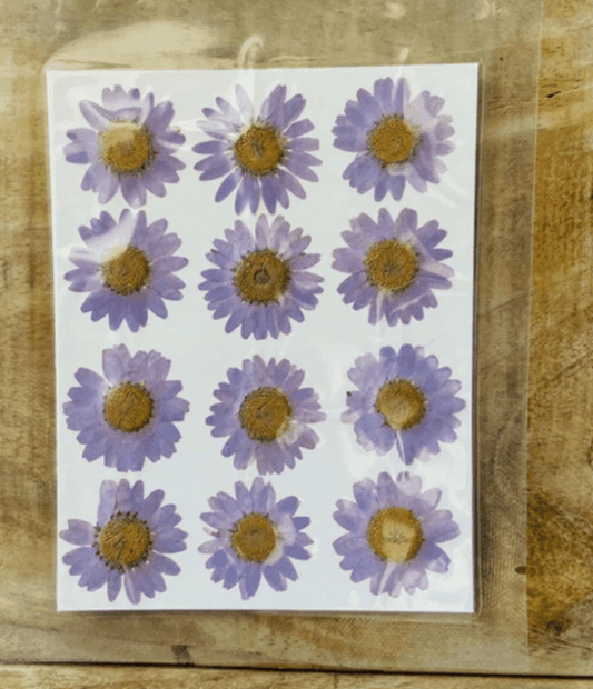 12 Flower Pressed Sheet (1 pc)