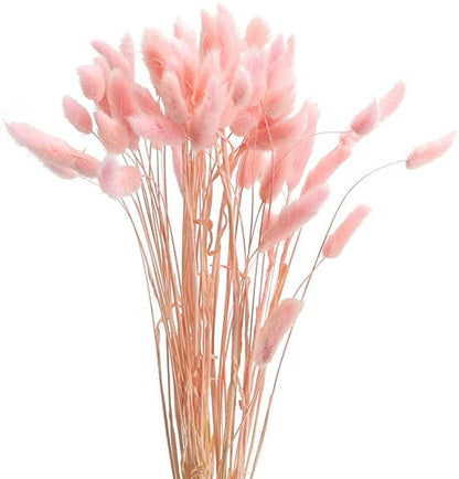 Pampass Grass (1 Bunch )