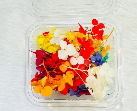 Multicolor Dry Flower Box (1 pc)
