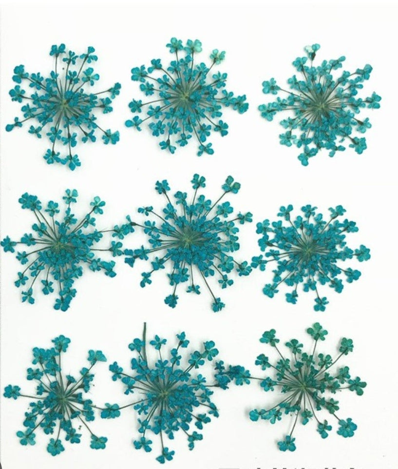9 Flower Pressed Sheet (1 pc)