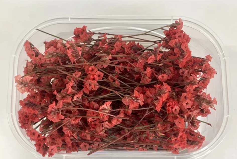 Dry Flower Box (1 pc)