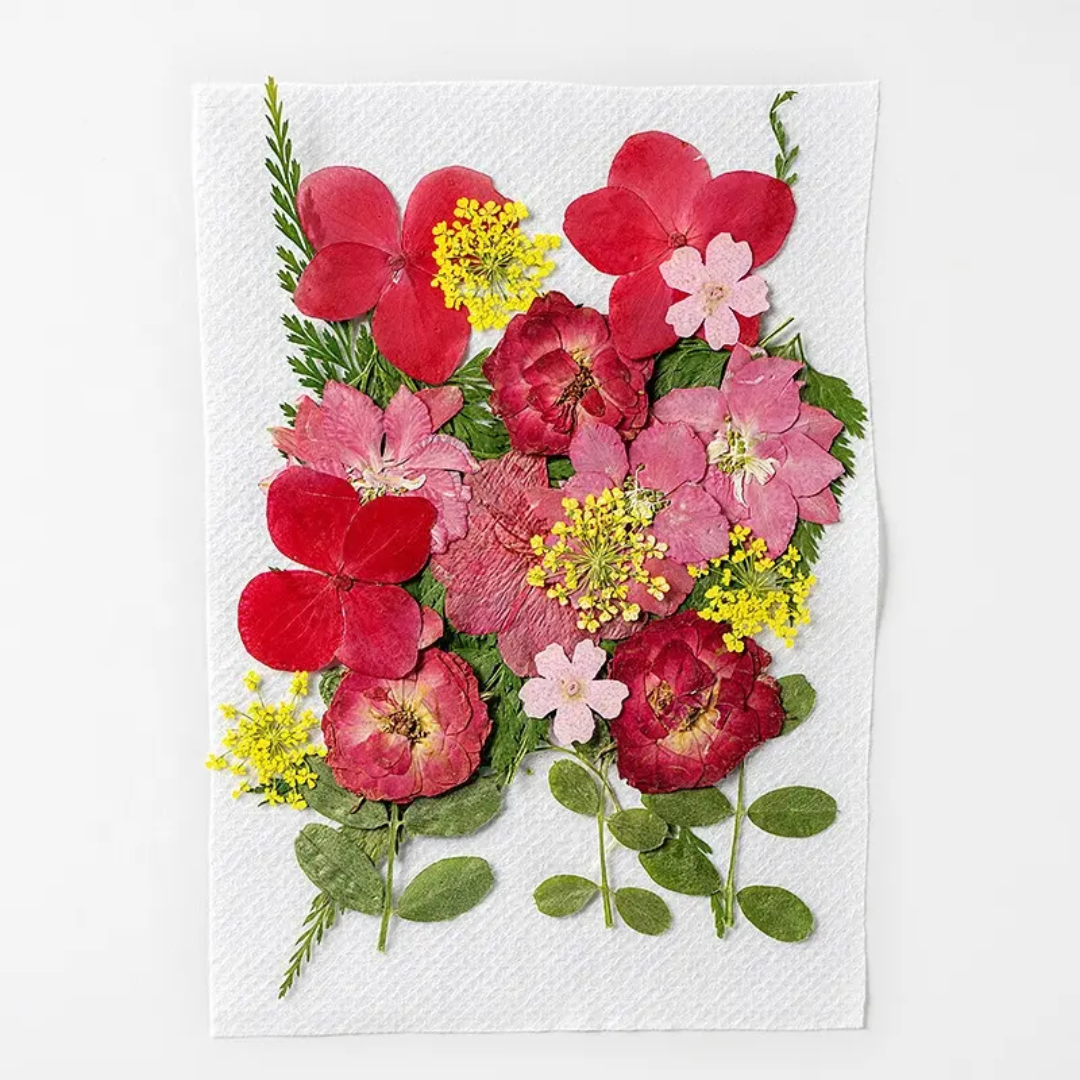 Pressed Flower Sheet