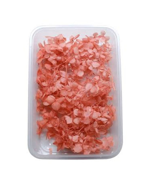 Dry Flower Box (1 pc)