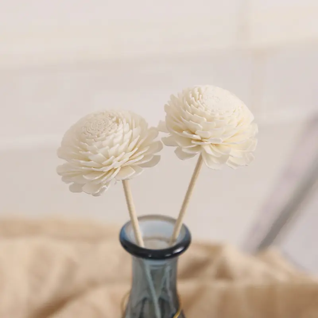 Big Bailev Sola Flowers (10 pc)
