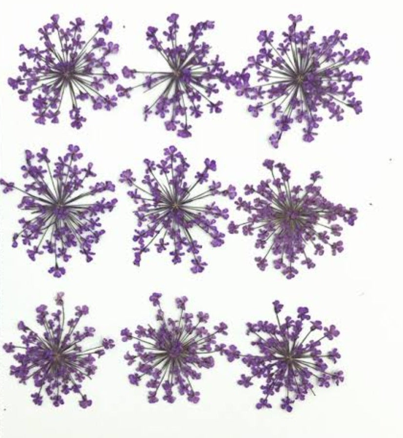 9 Flower Pressed Sheet (1 pc)