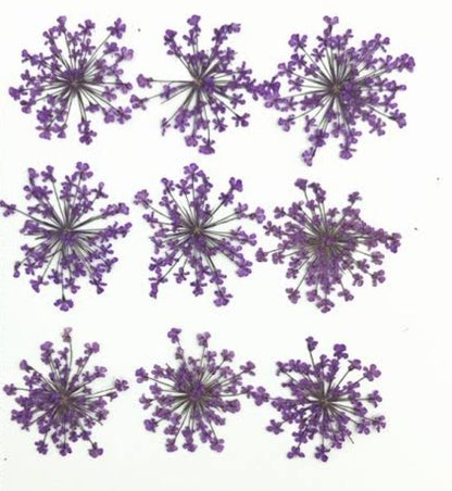 9 Flower Pressed Sheet (1 pc)