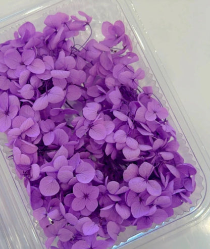 Dry Flower Box (1 pc)